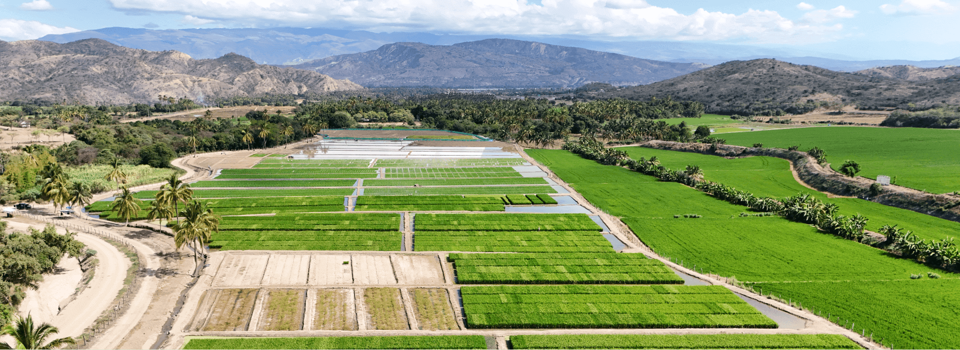 Campo experimental del centro de investigación de Semillas El Potrero