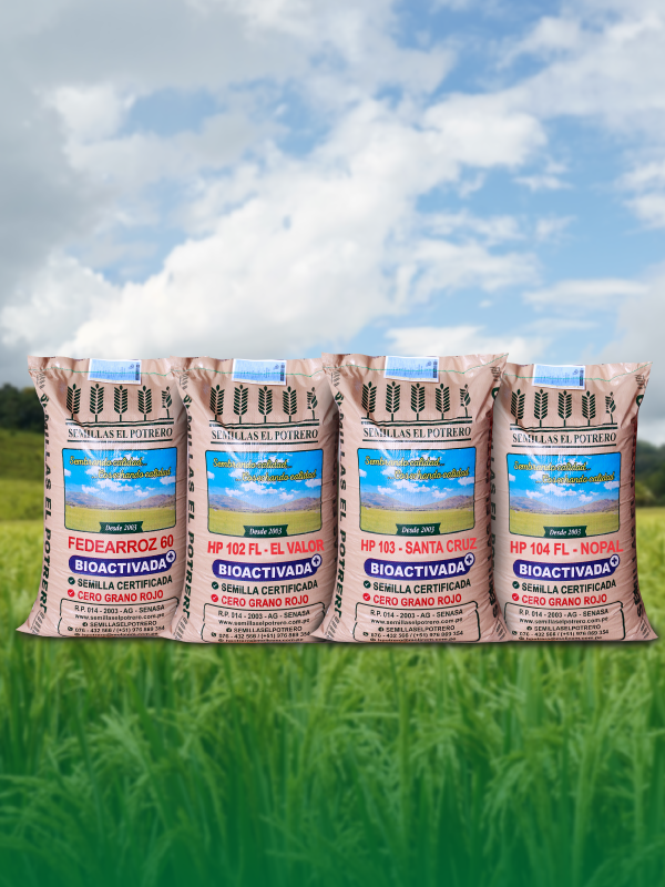 Comparativa de variedades