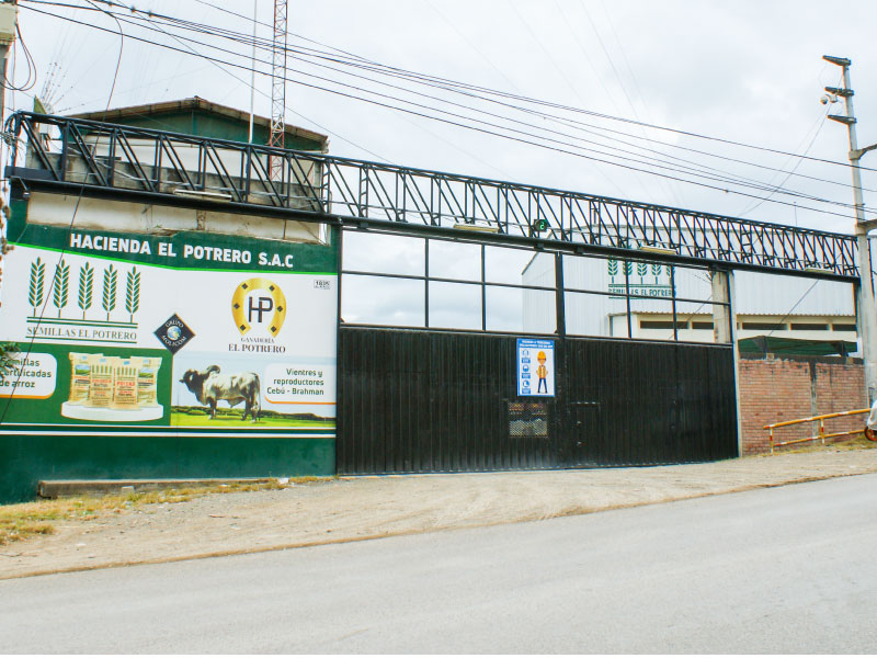 Oficina Principal Semillas El Potrero