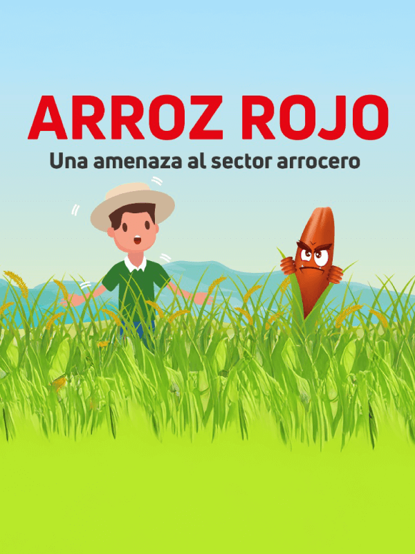 Arroz rojo
