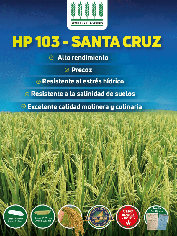 Producto HP 103