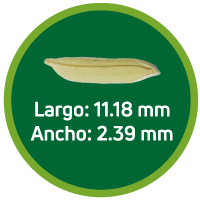 Arroz cáscara FEDEARROZ 60