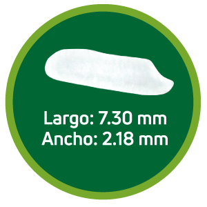 Arroz pilado HP 103 - SANTA CRUZ