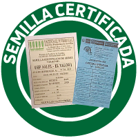 Semilla certificada