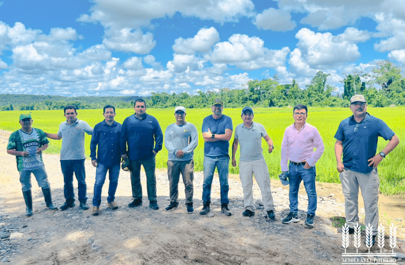 Hacienda El Potrero y FLAR llevan innovación agronómica al Huallaga Central - Perú